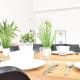 Big Wilten Apartment with free parking- Central and Peaceful, Innsbruck (Foto 3)