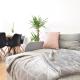 Big Wilten Apartment with free parking- Central and Peaceful, Innsbruck (Foto 4)