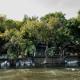 Ichingo Chobe River Lodge by Mantis, Punga (zdjęcie 4)