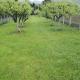 Holiday Home Dragon, Visoko (foto 3)