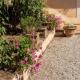 Apartment in nature,10min from city Perugia - Foto 4
