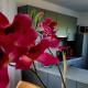 Ferienhaus Siebrands, Greetsiel - Foto 6
