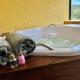 Relaxe na Jacuzzi c/ sais de banho á 300m da Praia, サンセバスチャン - 写真 2