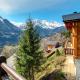 Quadze, Overlooking Village, Terrace & Bbq Champéry - Foto 9
