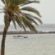 Beach house wing in kerkennah island. Fully equipped place for 4 guests and peaceful relaxing stay. Calm sea and beautiful sun rise that can be enjoyed straight on the beach or from the house terrace., Ouled Yaneg (foto 9)