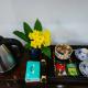 Hoian Central Garden Homestay, Hoi An - Fotografie 5