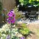 Hydrangea Cottage Arras, Saint-Laurent-Blangy (photo 3)