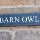 Barn Owl Easington - Photo 9