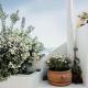 Kalyva Cycladic house - Oia Santorini, Ia (Foto 5)