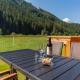 Chalet Astrid Wald im Pinzgau - Fotografie 1