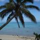 Absolute Beachfront - A Slice of Paradise! Rarotonga - Photo 1