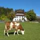 Polzhof
