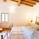Olive House Tuscany - Zona Pisa, Calci (foto 10)