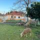 Quinta da nogueira, Albergaria dos Doze (fotografie 2)