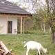 Saint Friday Cottage - Retreat, Garden and Forest, Vîlsăneşti - Foto 3