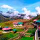 Bamboo Junction Resort - Kanatal, Valley & Mountain View, Dhanaulti - Foto 5