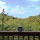 Three Bears Cabin - Hottub Arcades Btwn PigeonForge Gatlinburg Great Smoky Mountains National Park Sevierville - Photo 2