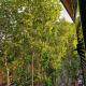 Home Rome Lepanto, Rom - Foto 1