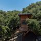 Boskenvid Hotel - Romantic Treehouses & Skypool, Valle de Guadalupe (zdjęcie 3)