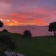 Luxury Waterfront, One Tree Point