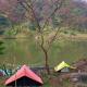 Khanapara Hilltop Camp, グワーハーティー - 写真 2