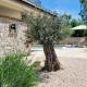 Villa Alara - charming villa with heated swimming pool, Milohnići (fotografie 7)