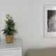 Apartamento Ancha del Carmen, Málaga - Foto 6
