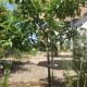 SweetSuites 40A Lavendelhaus, Mühlhausen - Photo 4