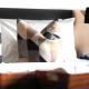 Stylish 1 Bedroom, Nice pool,Bts Asok, Sukhumvit, Bangkok - Photo 4