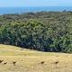 Mornington Peninsula Tiny House - Tiny Stays, Red Hill (fotografie 10)