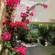 Sunflower Apartments & Studios, Kassiopi (photo 5)