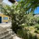 Sunflower Apartments & Studios, Kassiopi (photo 3)