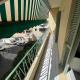 Suite Gloria Five stars holiday house, Nice - Fotografie 5