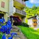 La Dimora di Anna - tra le Vallate Alpine- 6 posti letto, Ardesio (foto 10)