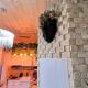 The Stable House, Bucharest - Photo 3