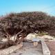 Anevalousa Beach House, Moutsouna Naxos (fotografie 7)