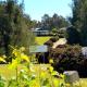 Red Door Collective - RDC Vineyard Estate, Luxury Adult Only Stay, Pokolbin