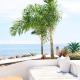 Cook's Bay Hotel & Suites, Paopao (fotografie 5)