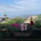 Guesthouse Coralba, Ischia (fotografie 3)