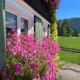 Gästehaus Nussbaumer, Balderschwang - Foto 3
