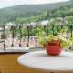 Ferienwohnung Saline, Bad Wildbad - Foto 4