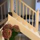 Olive Tree Cottage, Central Tilba (foto 5)