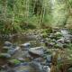 Moondance Cabin - Meredith Lodging, Rhododendron (fotografie 4)