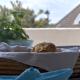 Capitainerie - maritim und nah am Strand, Wangerooge - Foto 9