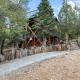Wolf View Lodge - Adorable and modern cabin with well-appointed mountain decor Big Bear Lake - Zdjęcie 5