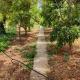 Stunning Villa with Pool, Table tennis, Table soccer and a Pool table, Naxxar (zdjęcie 5)