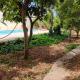 Stunning Villa with Pool, Table tennis, Table soccer and a Pool table, Naxxar (zdjęcie 7)