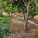 Stunning Villa with Pool, Table tennis, Table soccer and a Pool table, Naxxar (zdjęcie 8)