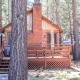 Cottage in the Pines - Great place to stay and close to everything! With Slope views! Big Bear Lake - Photo 1