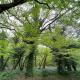 Orchard Cottage - Kent, Lyminge (foto 5)